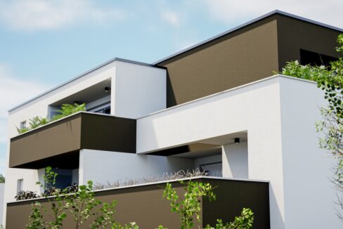 Render_0021_Render_19.0000 (Medium)