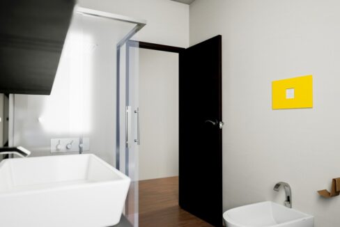 Render_0042_Render_40.0000 (Medium)